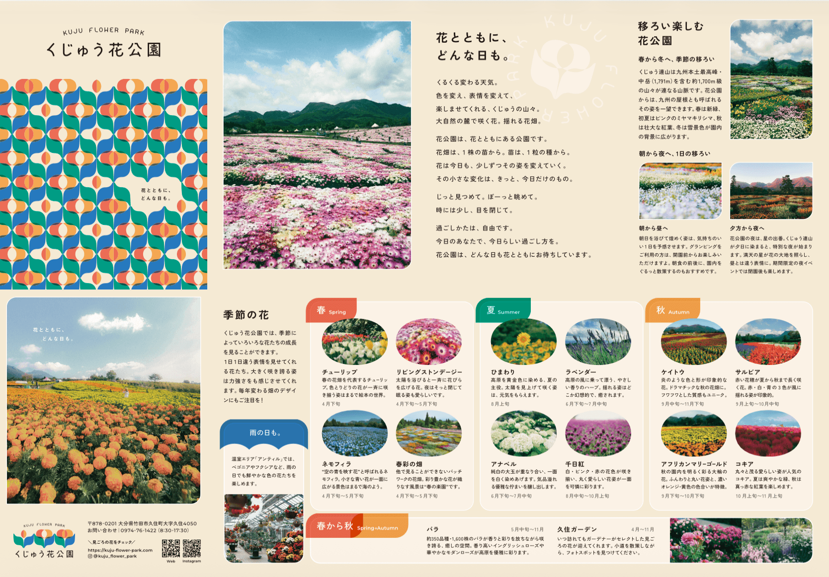 お知らせの写真