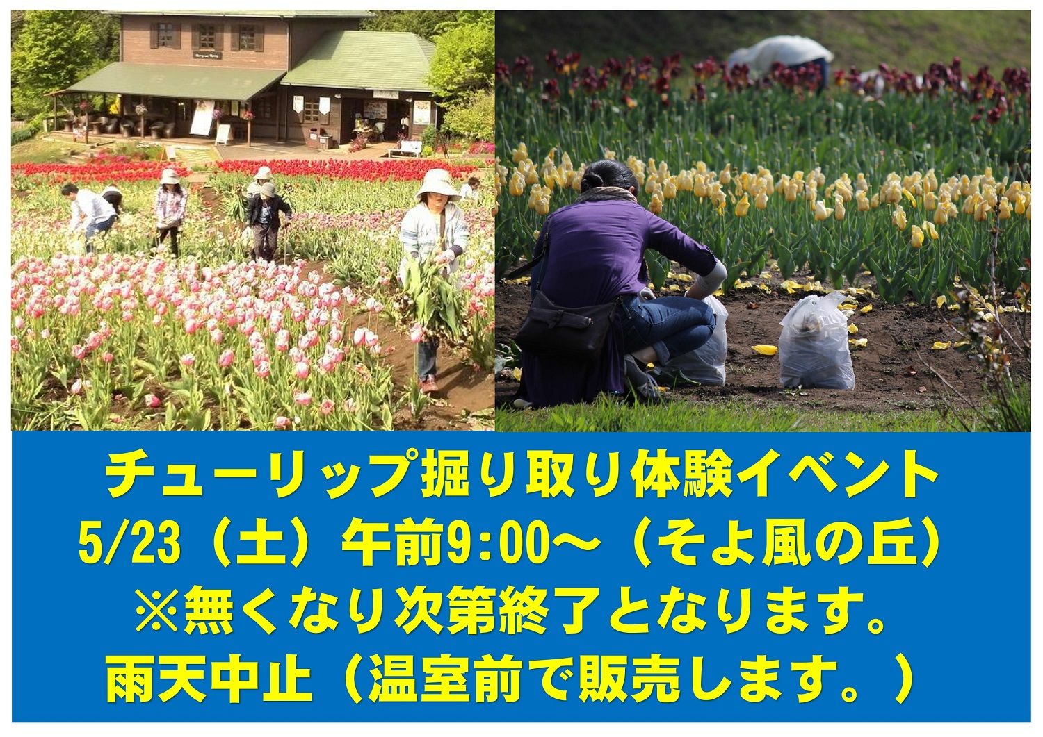 お知らせの写真