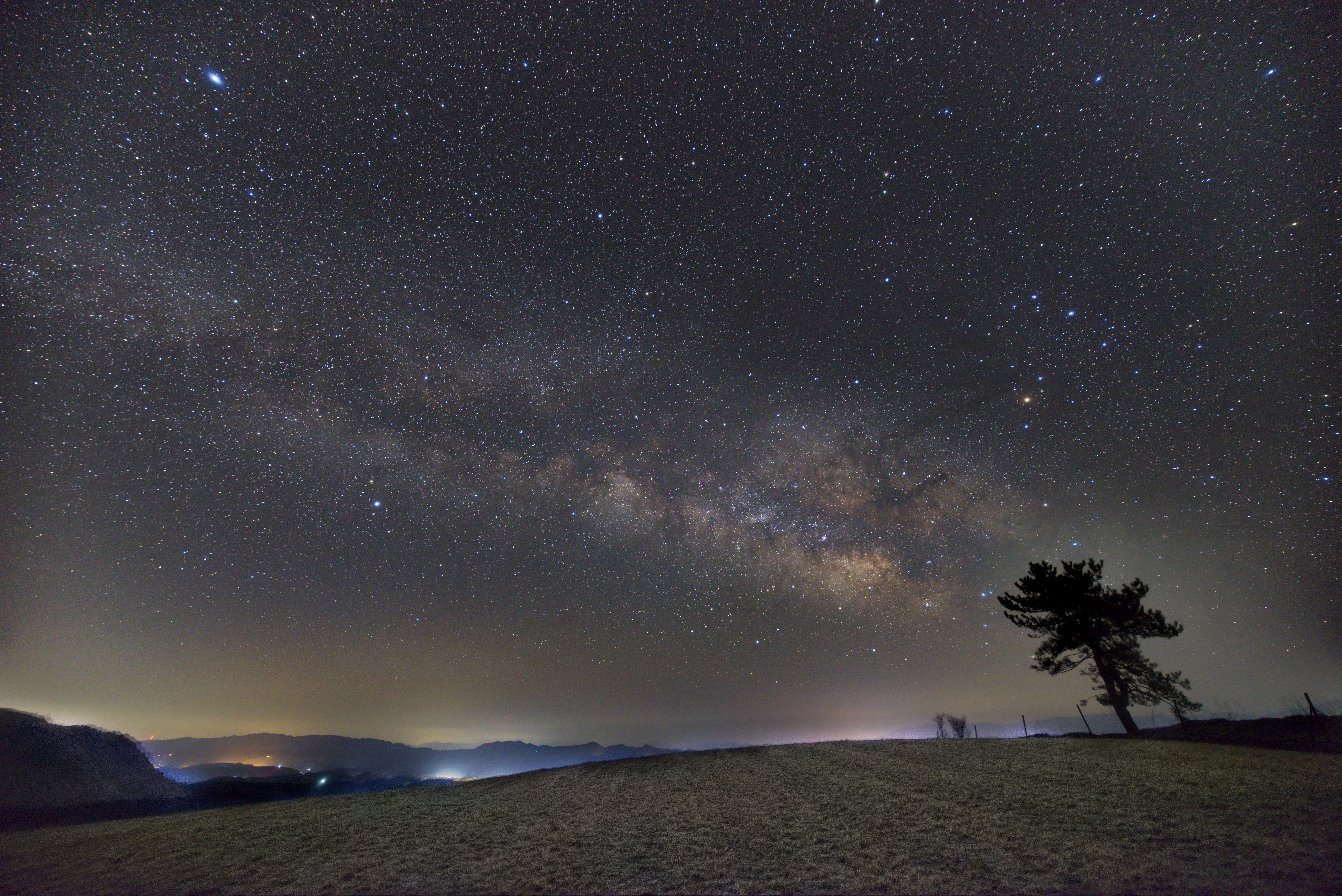 お知らせの写真