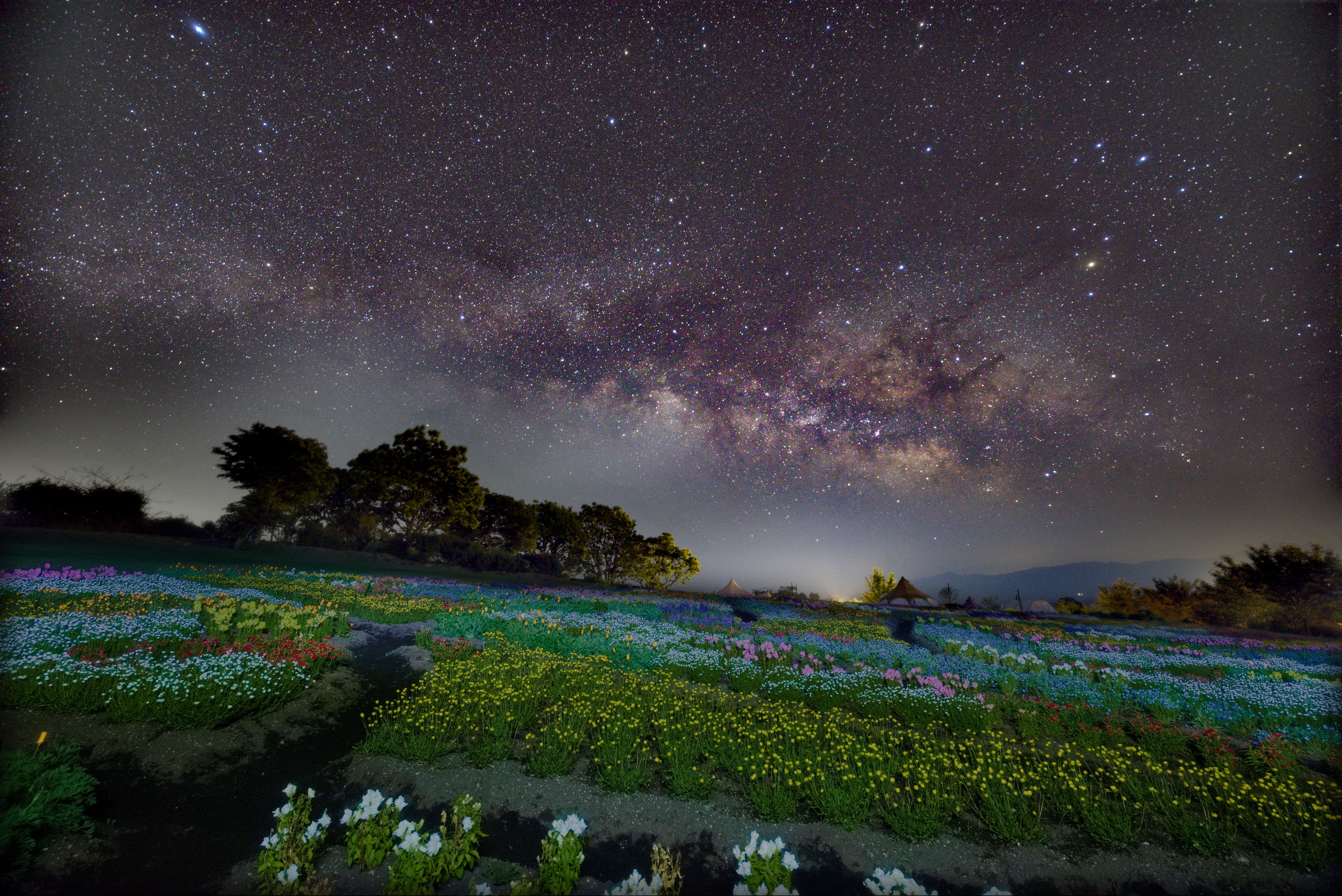 イベント「久住高原 星空の巡り（毎月第３土曜開催）」の写真