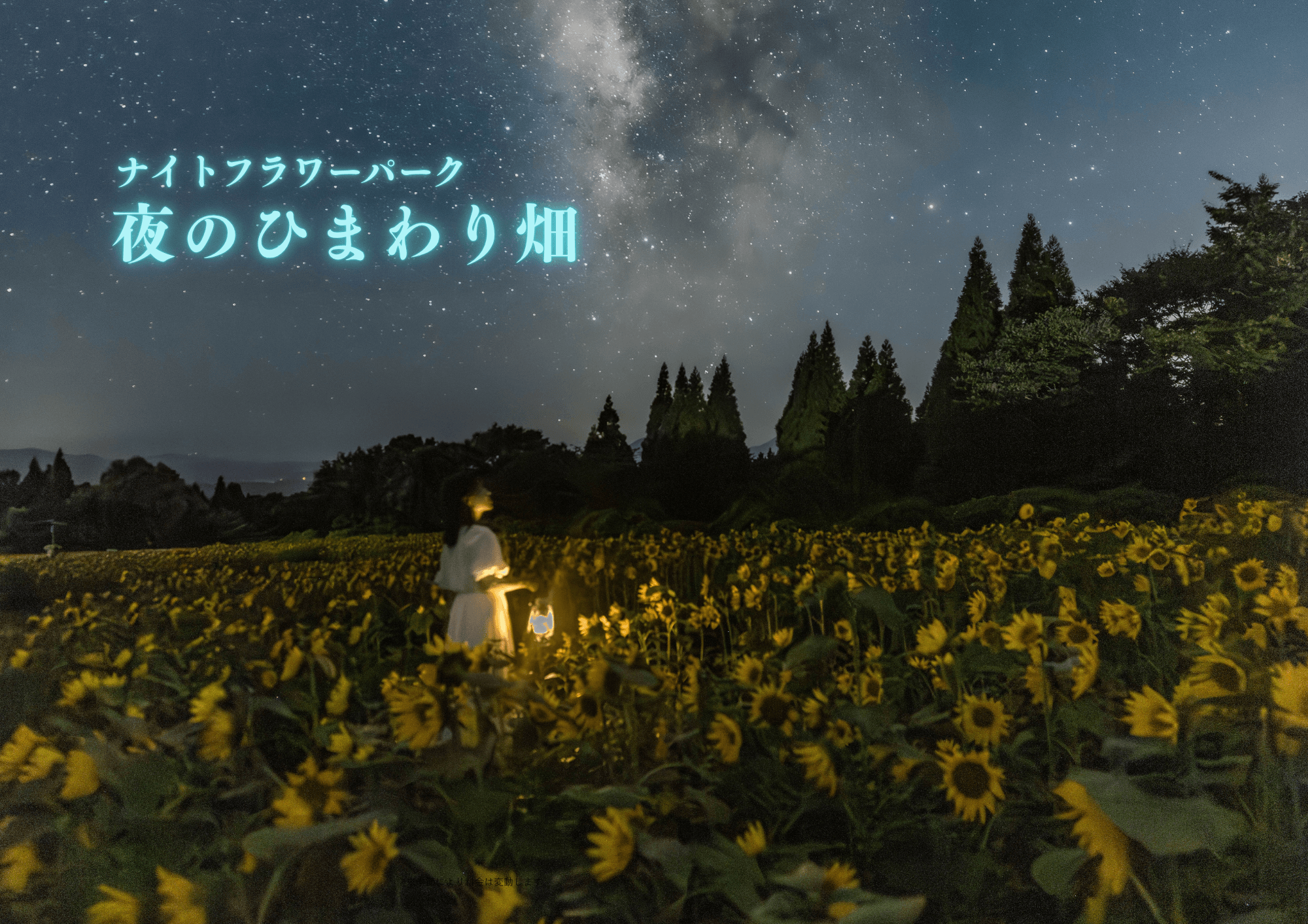 ナイトフラワーパーク (A4(横)).png