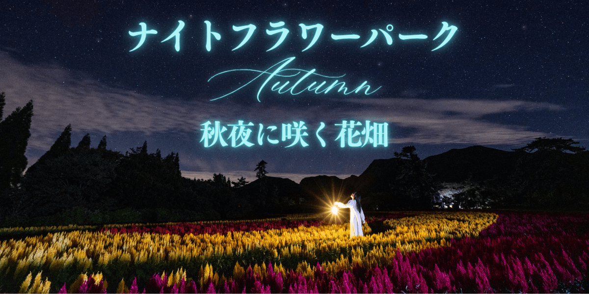 イベント「ナイトフラワーパークAutumn「秋夜に咲く花畑」」の写真