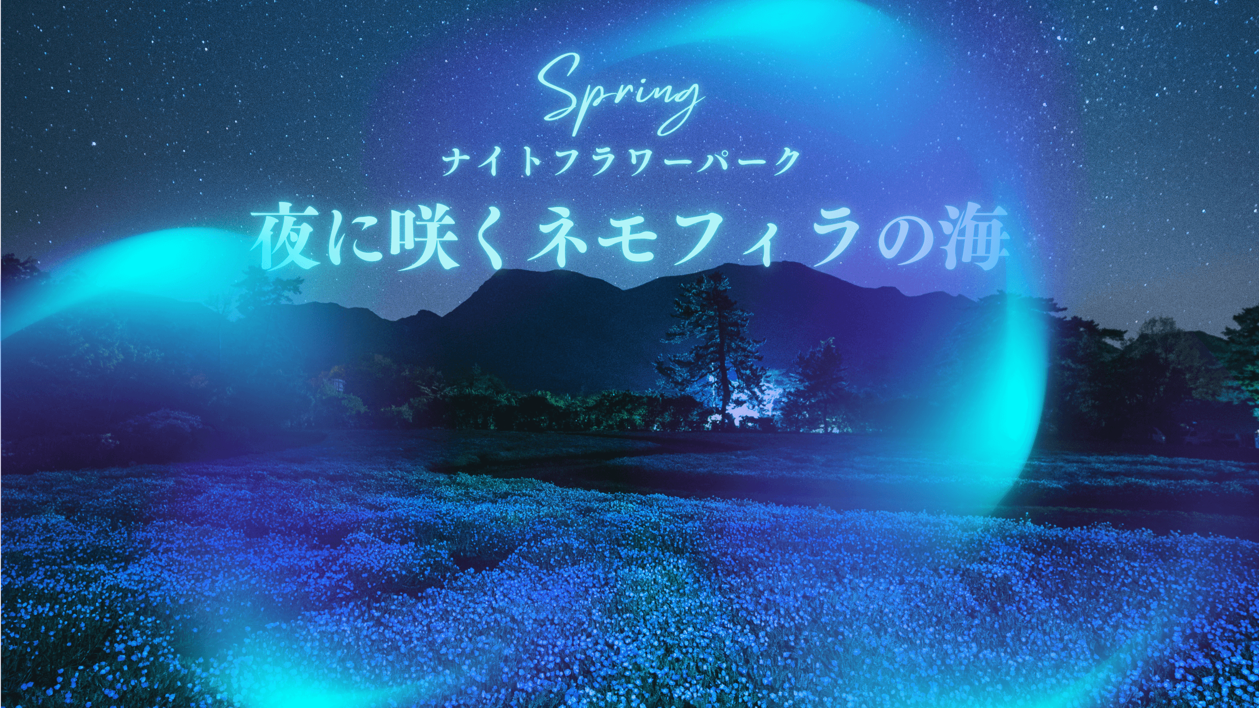 お知らせの写真