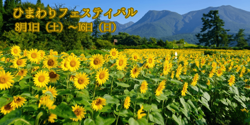 ひまわりフェスティバル.png