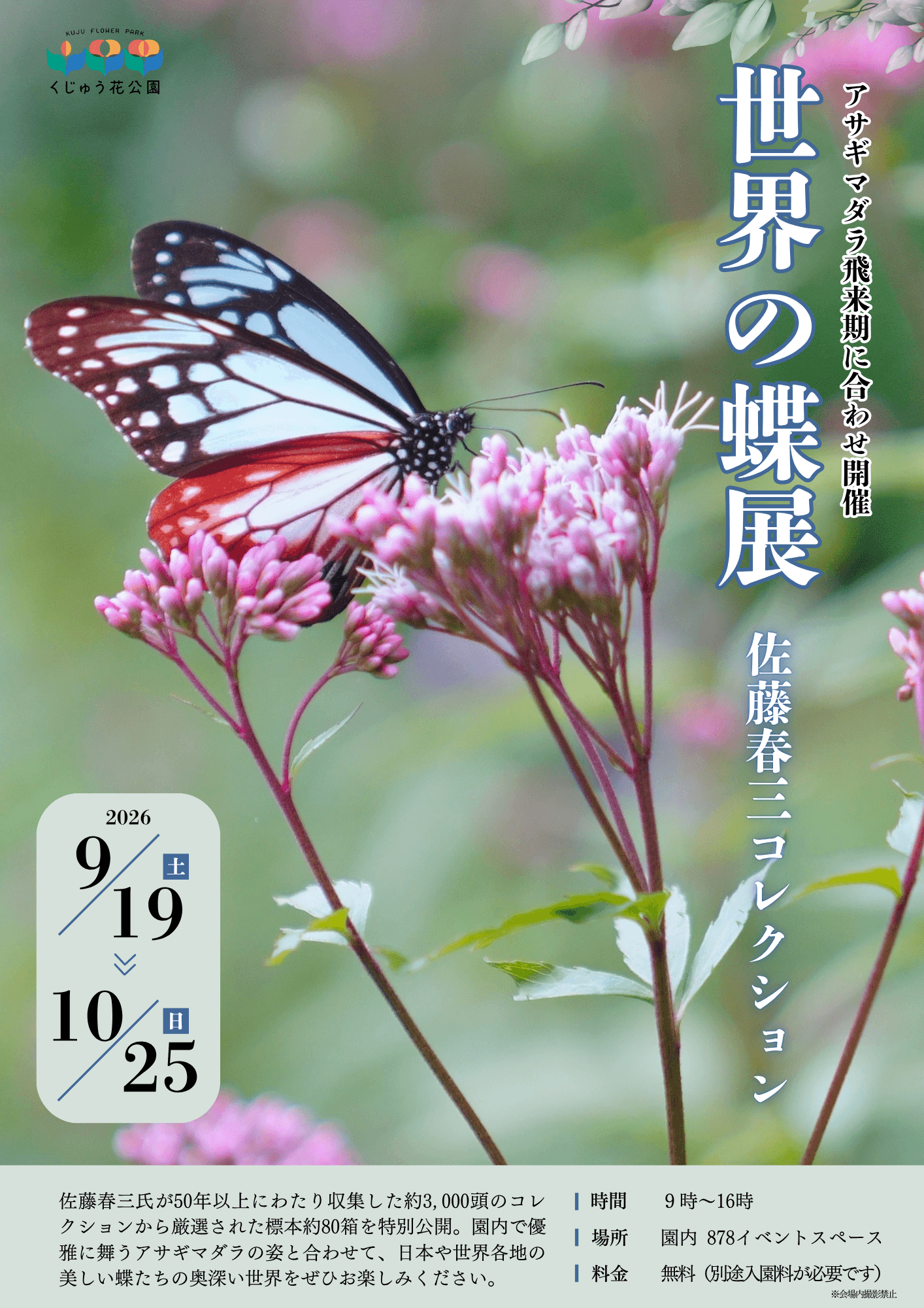 世界の蝶展佐藤春三コレクションポスター チラシ.png