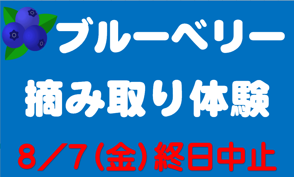 ブログ「8/7（金）ブルーベリー摘み取り体験は終日中止になります。」の写真