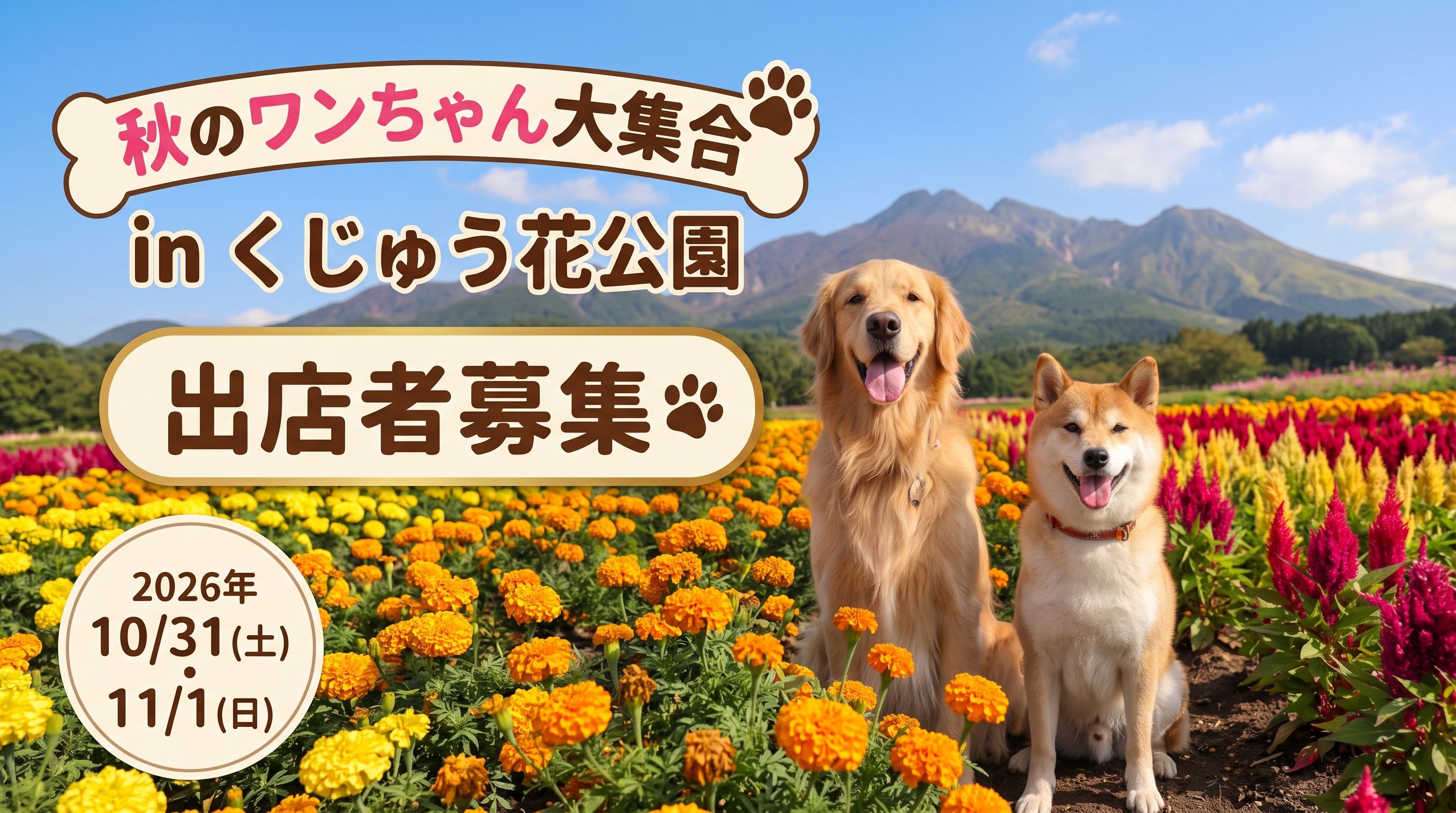 お知らせの写真