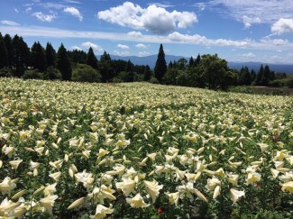 11781632_1601955316744466_6271222143813880328_n