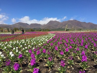 12196183_1623474767913817_8138158711626575543_n