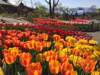 13000276_1677547085839918_8823649873968556008_n