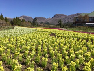 13015169_1677546995839927_7079455599358916524_n