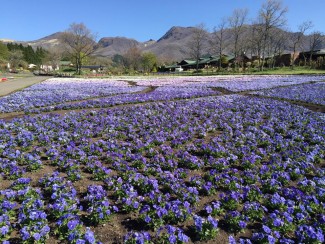 13043807_1677547275839899_4698645735566127630_n