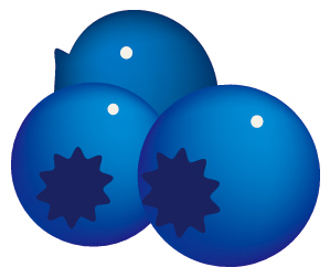 ブルーベリーイラスト2