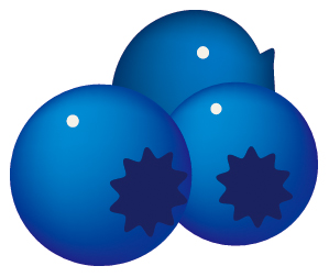 ブルーベリーイラスト