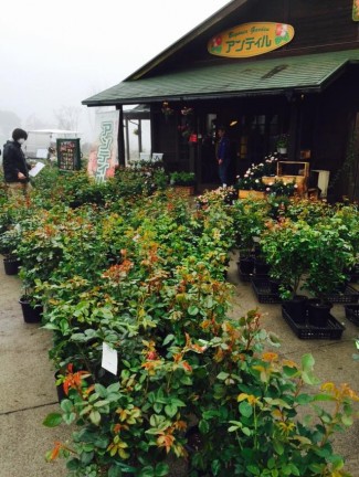 13777_1559258284335466_2719681918408952431_n