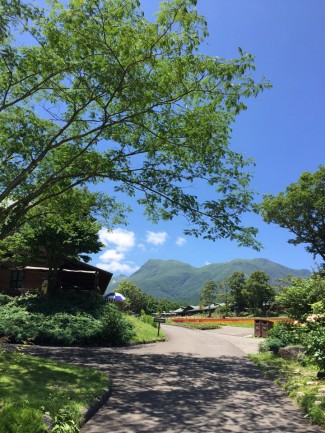 11695536_1586338441627450_3485454902090981372_n