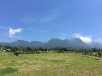 11760167_1600139576926040_1421364756331866345_n