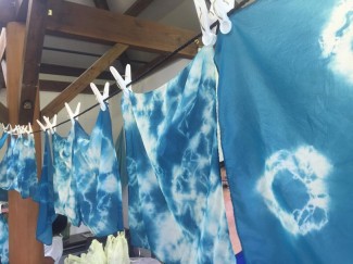 11898652_1608058496122111_6230267675660321220_n