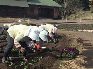 12806256_1661382320789728_602563114373267458_n