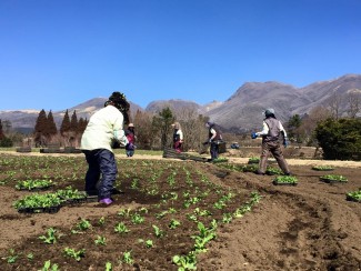 #くじゅう花公園スタッフ＃