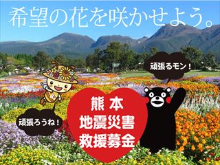 くまもん募金_R