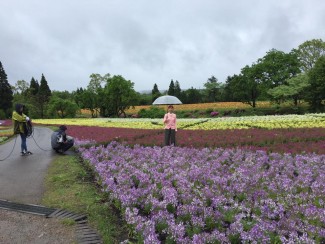 13062075_1686753418252618_5605553501148337642_n