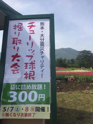 13124881_1685885048339455_2433020382674264904_n