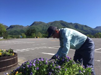 13173926_1687449488183011_1881933639582574945_n