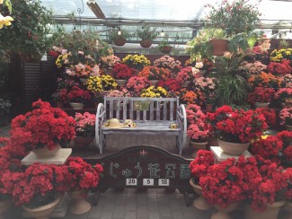 13227208_1690148717913088_1085890827874323306_n