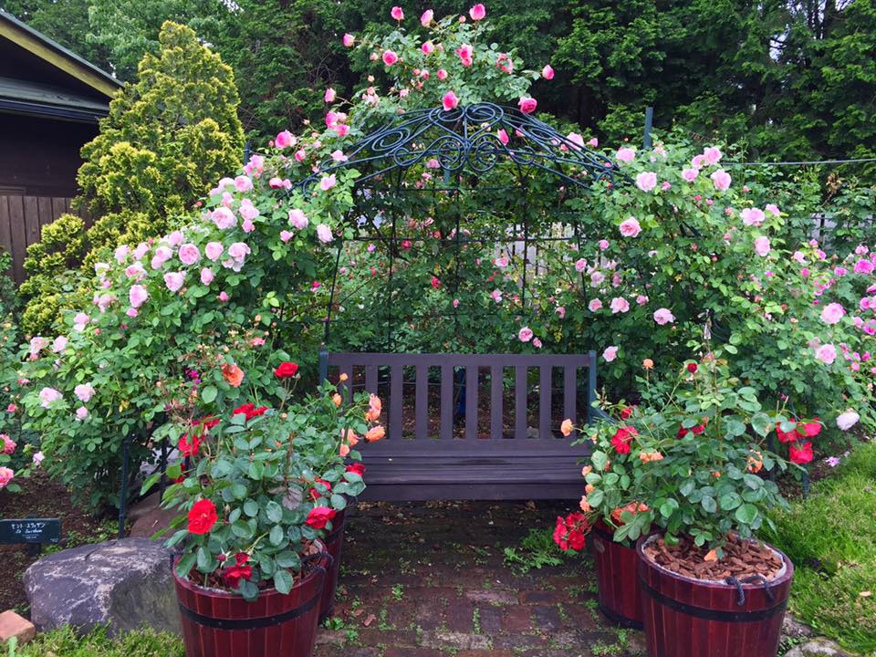 13238867_1692647957663164_3573687178608992464_n