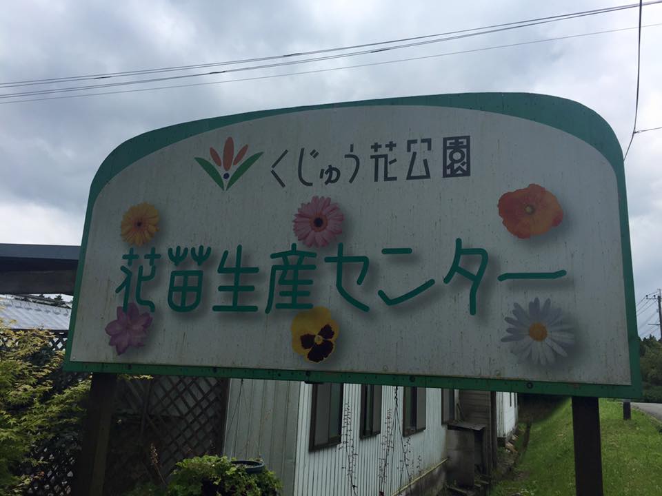 13413524_1697797407148219_1724608043792782664_n