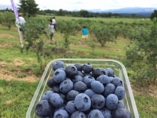 13592800_1707574566170503_7272108151183880171_n