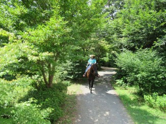 14037484_1758969960986463_646609578_o