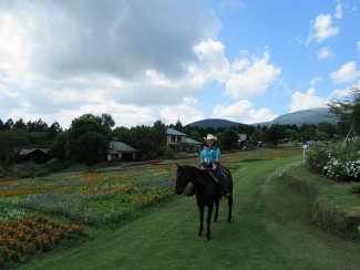 14045339_1758969957653130_1529126612_o