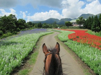 14060026_1758969930986466_30314970_o