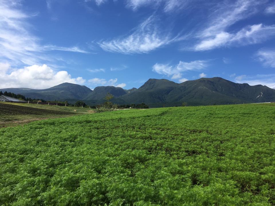 14225465_1729079594020000_8622613424491890038_n