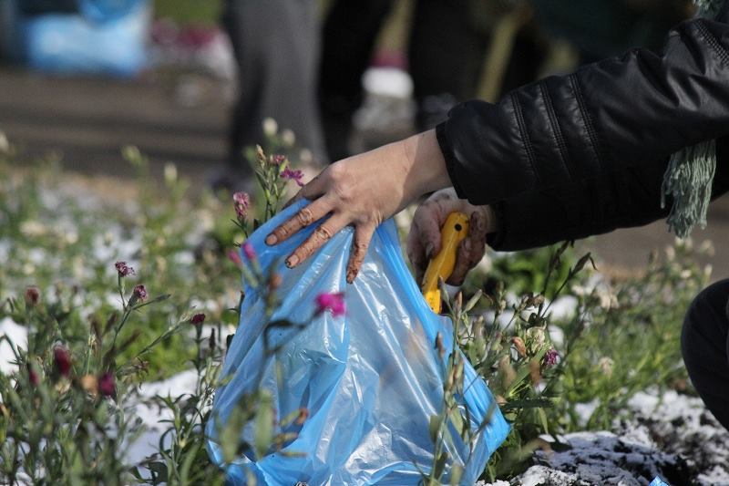 %e6%8e%98%e3%82%8a%e5%8f%96%e3%82%8a4