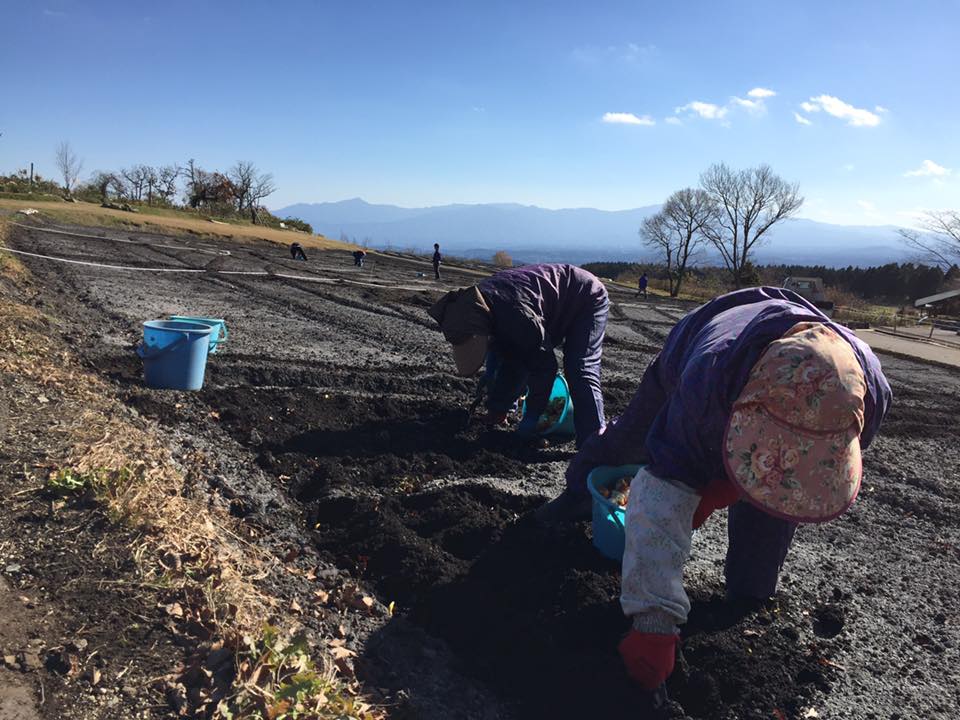 15284065_1771363223124970_8731558490271093604_n