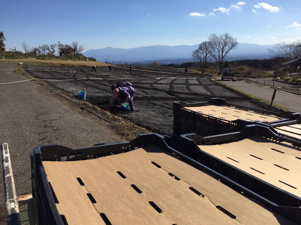 15390688_1771363229791636_4809515922542912301_n