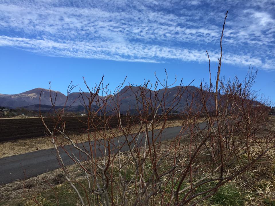 15894896_1786348951626397_5826340471652829609_n