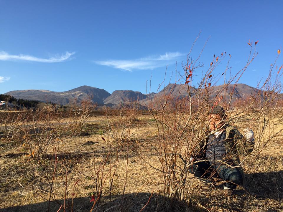 15965421_1786349221626370_1077547065407073430_n