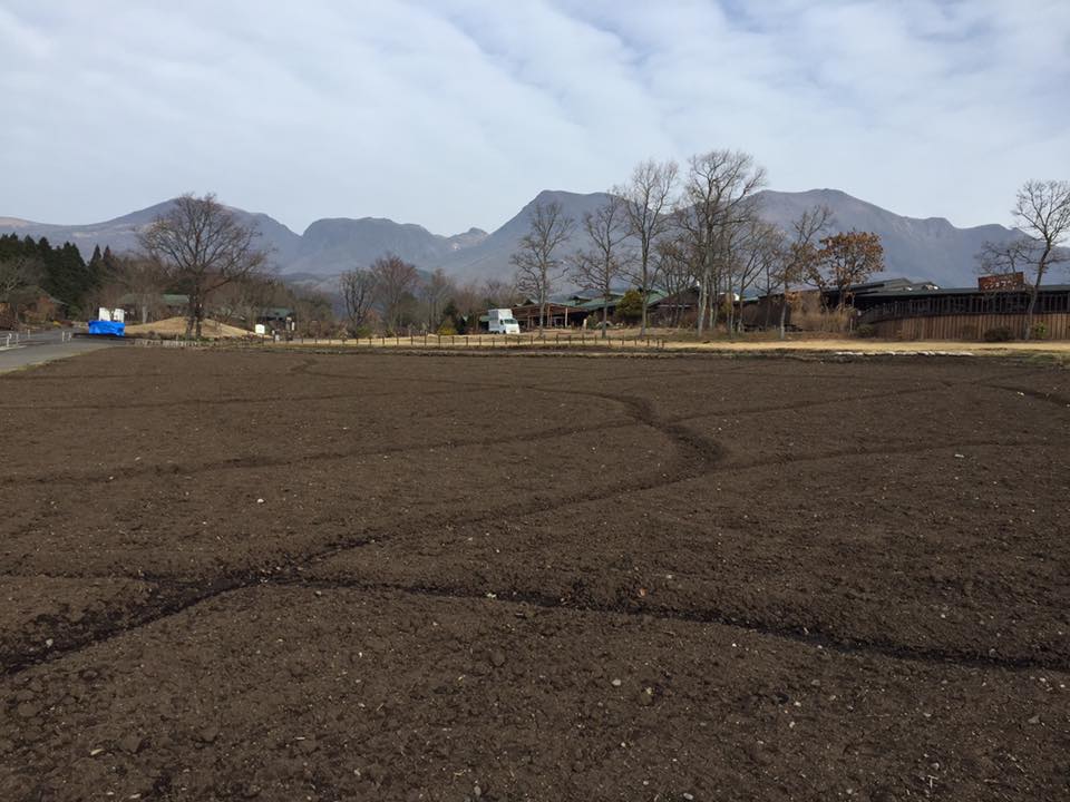 %e3%83%81%e3%83%a5%e3%83%bc%e3%83%aa%e3%83%83%e3%83%9712-5